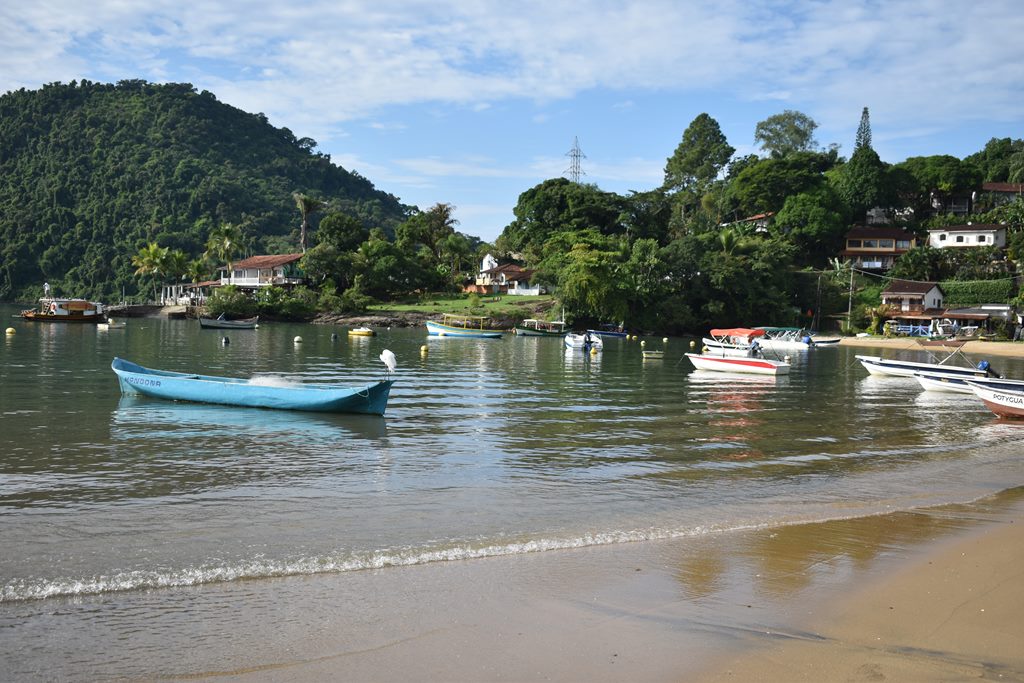 DSC 0508(1)