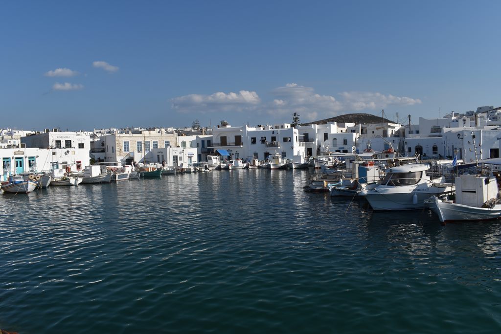 Dsc 0081
