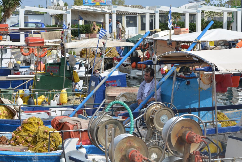 Dsc 0578(1)